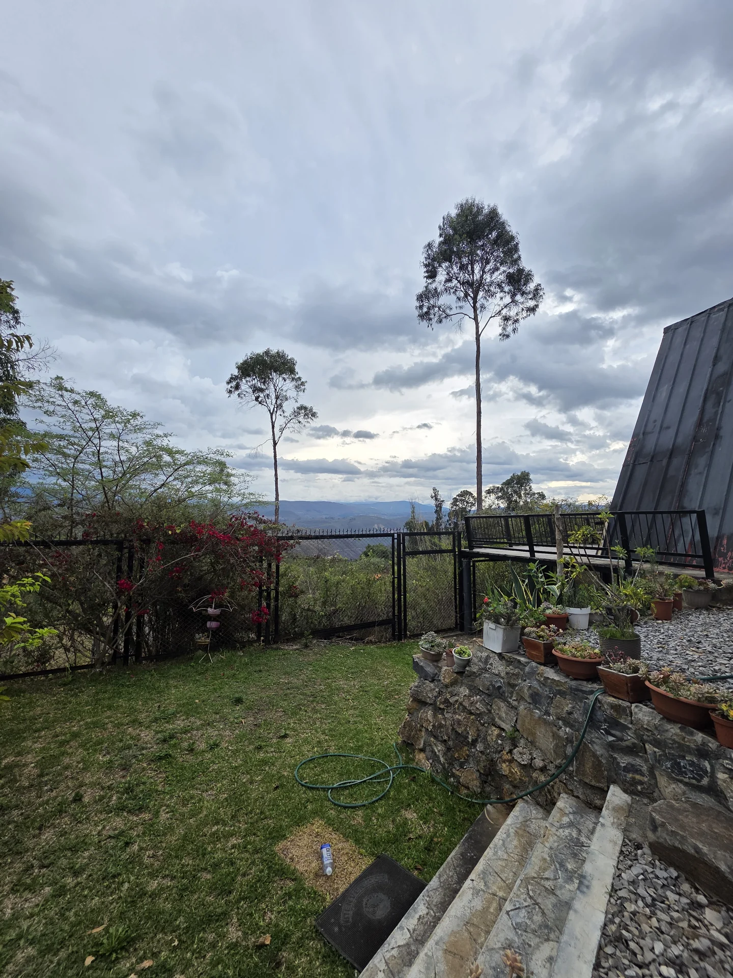 Patio y vegetación de Cabaña Pucacruz